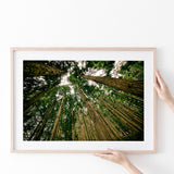 Abstract Forest Print Poster Prints Wall Art Decor, Unframe, Poster Art