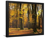 Autumn Scented Woods-Forest art, Art print, Plexiglass Cover