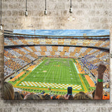 Neyland Stadium Canvas Prints Wall Art - Painting Canvas, Wall Decor, Canvas Art, For Sale