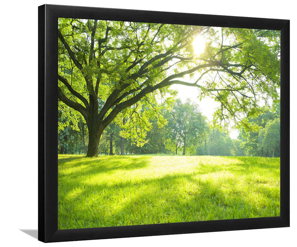 Summer Park-Forest art, Art print, Plexiglass Cover