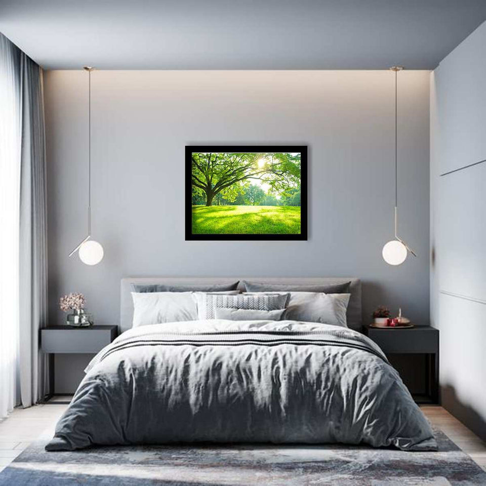 Summer Park-Forest art, Art print, Plexiglass Cover