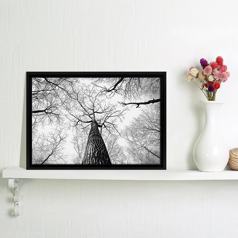 framed tree branch art