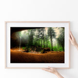 Waterfall Art Forest Poster Prints Wall Art Decor, Unframe, Poster Art