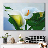 White Calla Lily Flowers Canvas Prints Wall Art - Canvas Painting, Painting Art, Prints for Sale, Wall Decor, Home Decor