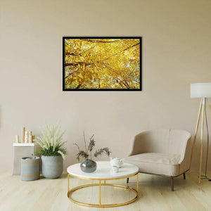 Yellow Leaves-Forest art, Art print, Plexiglass Cover