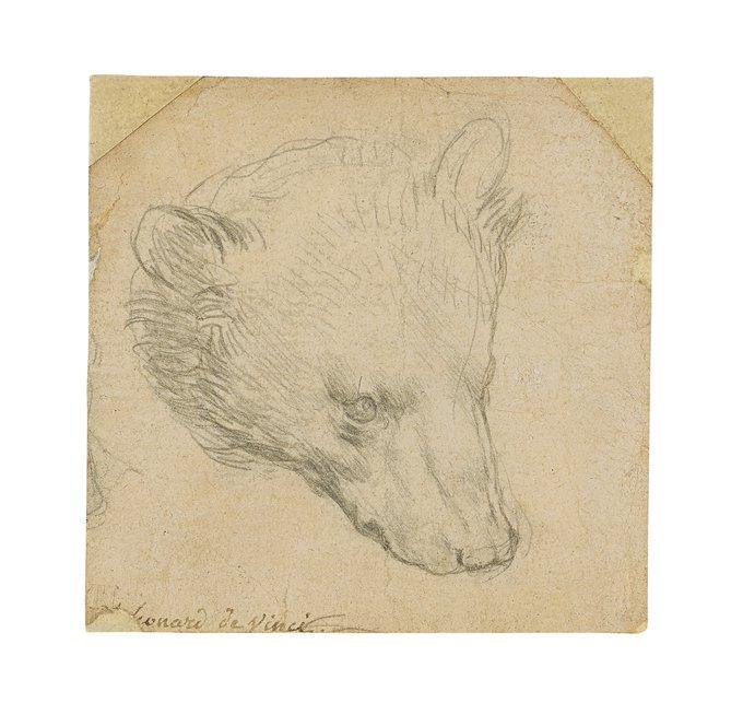 Da Vinci's Head of a Bear could sell for nearly $17 million ?