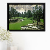 Pinehurst Course Number 2 Golf Courses, Golf Art Print, Framed Canvas Prints Wall Art Decor, Floating Frame