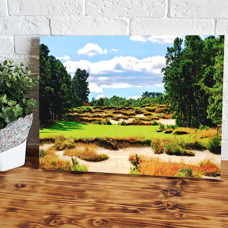 Pine Valley Golf Course Cool Coler Canvas Wall Art - Canvas Prints, Prints For Sale, Painting Canvas,Canvas On Sale