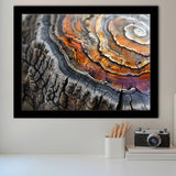 A Detailed Close-Up Of An Old Tree Trunk Showcasing, Framed Art Print Wall Decor, Framed Picture