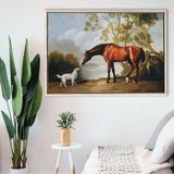 Bay Horse And White Dog Friends Animal Landscape Lake Painting By George Stubbs, Framed Canvas Print Wall Art Decor
