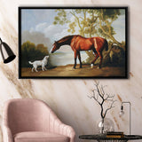 Bay Horse And White Dog Friends Animal Landscape Lake Painting By George Stubbs, Framed Canvas Print Wall Art Decor