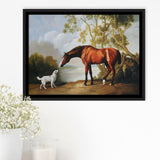 Bay Horse And White Dog Friends Animal Landscape Lake Painting By George Stubbs, Framed Canvas Print Wall Art Decor