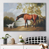 Bay Horse And White Dog Friends Animal Landscape Lake Painting by George Stubbs, Canvas Print Wall Art Decor, Landscape Print
