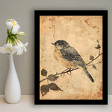 Bird Sketch  Vintage Style Painting, Framed Art Prints Wall Decor, Picture Framed Painting