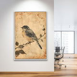 Bird Sketch  Vintage Style Painting, Framed Canvas Prints Wall Art Decor, Floarting Frame Painting Canvas Art