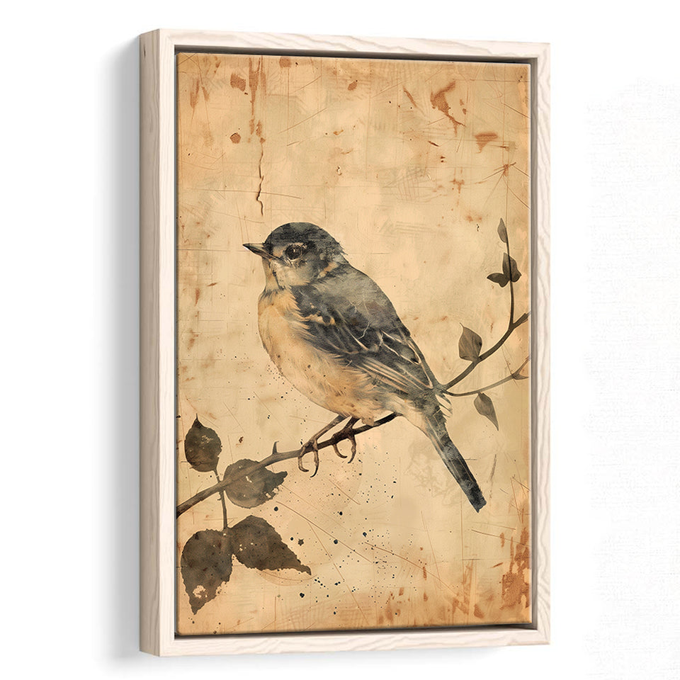 Bird Sketch  Vintage Style Painting, Framed Canvas Prints Wall Art Decor, Floarting Frame Painting Canvas Art