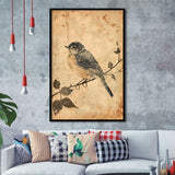 Bird Sketch  Vintage Style Painting, Framed Art Prints Wall Decor, Picture Framed Painting