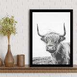 Black And White Baby Highland Cow V1, Framed Canvas Painting, Framed Canvas Prints Wall Art Decor