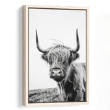 Black And White Baby Highland Cow V1, Framed Canvas Painting, Framed Canvas Prints Wall Art Decor