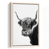 Black And White Baby Highland Cow V2, Framed Canvas Painting, Framed Canvas Prints Wall Art Decor