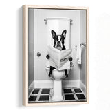 Boston Terrier Framed Canvas Prints Wall Art, Funny Bathroom Decor, Animal In Toilet