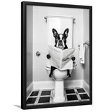 Boston Terrier Framed Art Print Wall Decor, Funny Bathroom Decor, Animal In Toilet