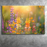 Colorful Wildflower Picture in Sunset, Canvas Print Wall Art Home Decor, Painting Canvas Art Print