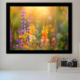 Colorful Wildflower Picture in Sunset, Framed Art Print Wall Decor, Picture Framed Painting Art