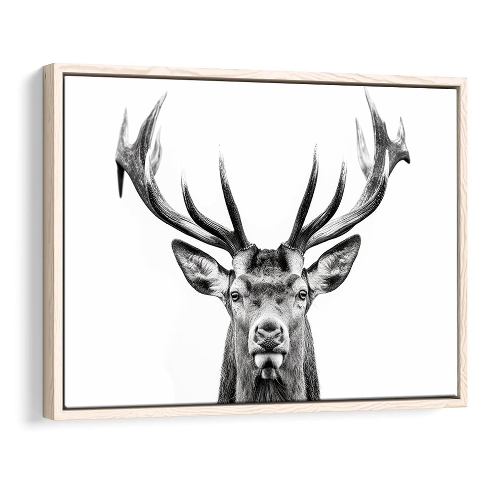 Deer Stag Head Black And White V2, Framed Canvas Painting, Framed Canvas Prints Wall Art Decor