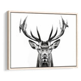 Deer Stag Head Black And White V2, Framed Canvas Painting, Framed Canvas Prints Wall Art Decor