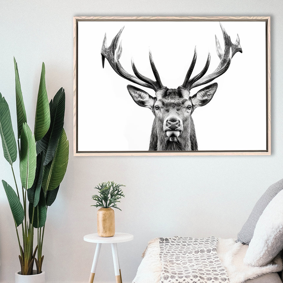Deer Stag Head Black And White V2, Framed Canvas Painting, Framed Canvas Prints Wall Art Decor