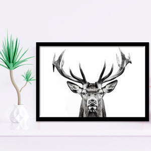 Deer Stag Head Black And White V2, Framed Art Print Wall Decor, Framed Picture