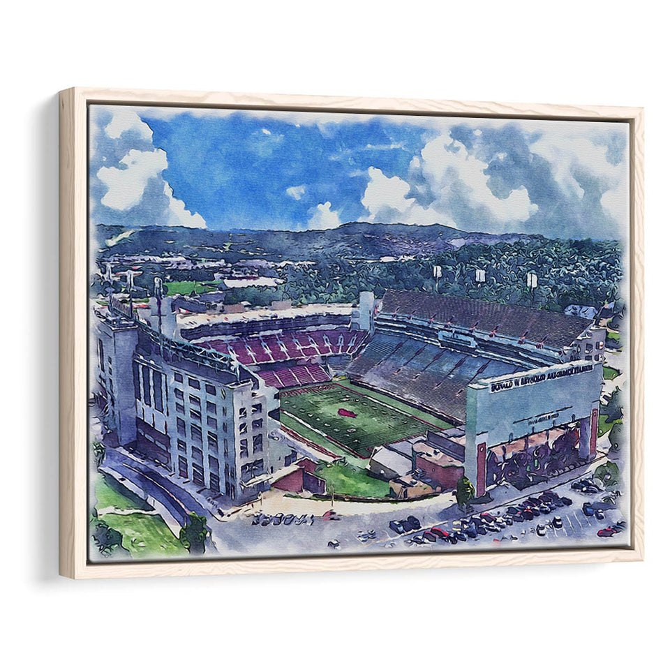 Donald W. Reynolds Razorback Stadium WaterColor Framed Canvas Prints, Stadium Art Gifts, Floating Frame