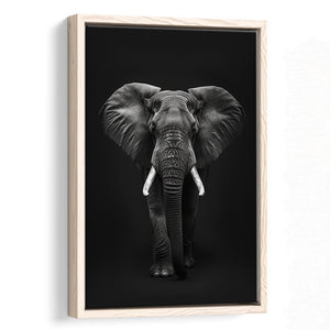 Elephant Portrait Black And White V1, Framed Canvas Prints Wall Art Decor, Floarting Frame Painting Canvas Art