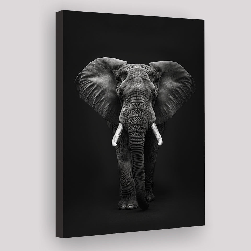 Elephant Portrait Black And White V1, Canvas Prints Wall Art Home Decor, Painting Canvas Art