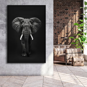 Elephant Portrait Black And White V1, Framed Canvas Prints Wall Art Decor, Floarting Frame Painting Canvas Art