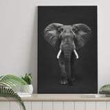 Elephant Portrait Black And White V1, Canvas Prints Wall Art Home Decor, Painting Canvas Art