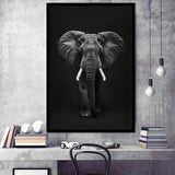 Elephant Portrait Black And White V1, Framed Art Prints Wall Decor, Picture Framed Painting