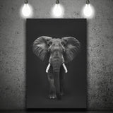 Elephant Portrait Black And White V1, Canvas Prints Wall Art Home Decor, Painting Canvas Art