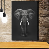 Elephant Portrait Black And White V1, Canvas Prints Wall Art Home Decor, Painting Canvas Art