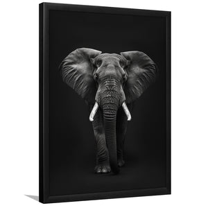 Elephant Portrait Black And White V1, Framed Art Prints Wall Decor, Picture Framed Painting