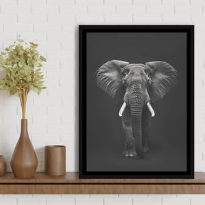 Elephant Portrait Black And White V1, Framed Canvas Prints Wall Art Decor, Floarting Frame Painting Canvas Art