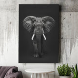 Elephant Portrait Black And White V1, Canvas Prints Wall Art Home Decor, Painting Canvas Art