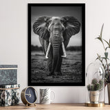 Elephant Portrait Black And White V2, Framed Art Prints Wall Decor, Picture Framed Painting