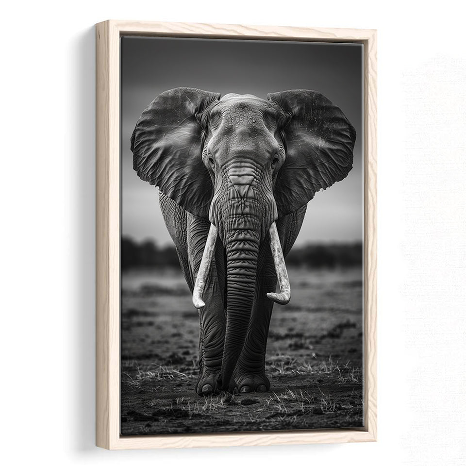 Elephant Portrait Black And White V2, Framed Canvas Prints Wall Art Decor, Floarting Frame Painting Canvas Art