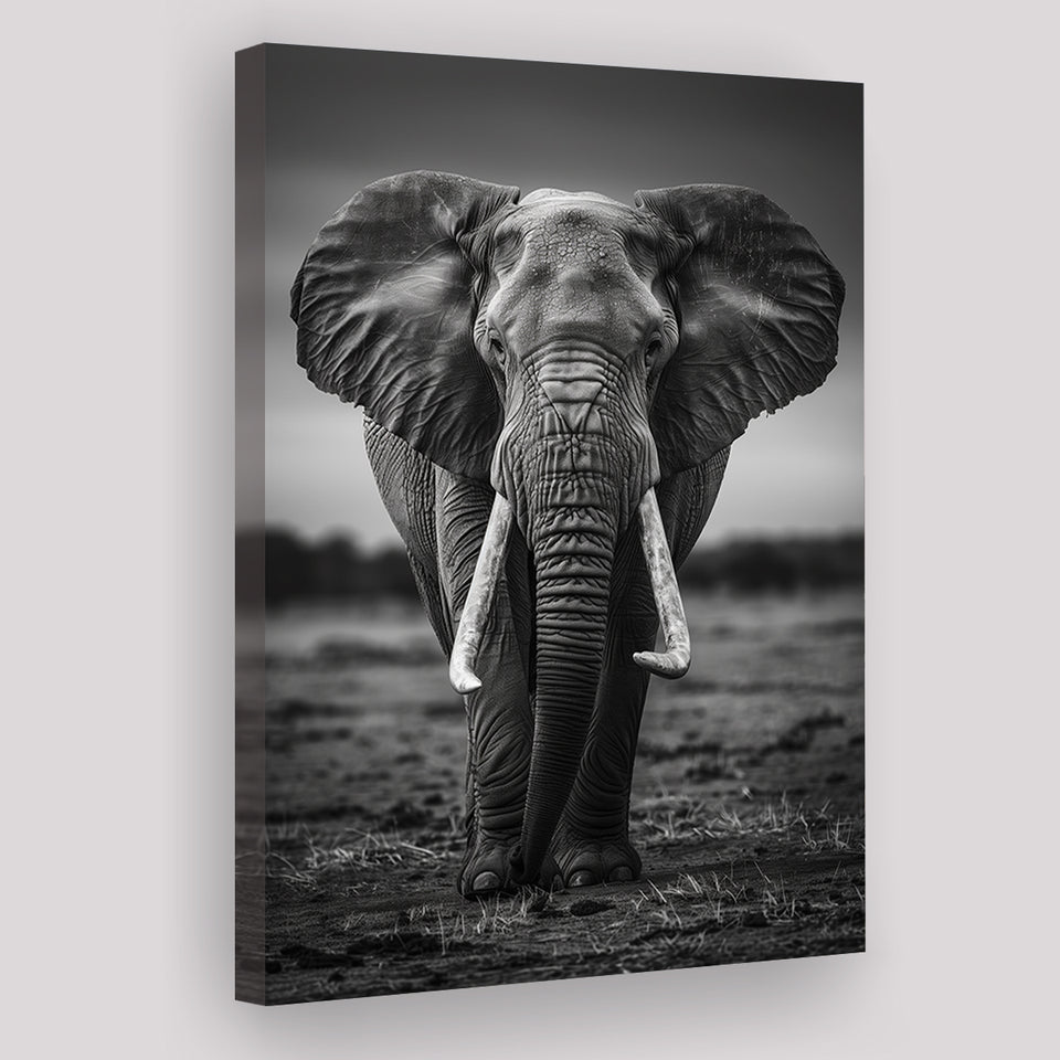 Elephant Portrait Black And White V2, Canvas Prints Wall Art Home Decor, Painting Canvas Art