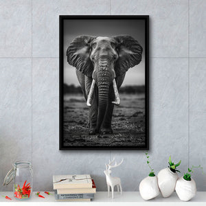 Elephant Portrait Black And White V2, Framed Canvas Prints Wall Art Decor, Floarting Frame Painting Canvas Art