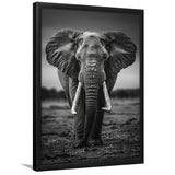 Elephant Portrait Black And White V2, Framed Art Prints Wall Decor, Picture Framed Painting