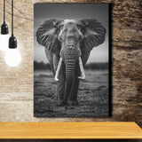 Elephant Portrait Black And White V2, Canvas Prints Wall Art Home Decor, Painting Canvas Art