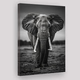 Elephant Portrait Black And White V2, Canvas Prints Wall Art Home Decor, Painting Canvas Art